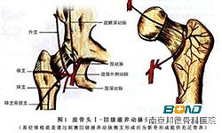 下肢畏寒如何治疗？