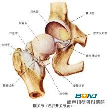腰背酸痛怎么办？