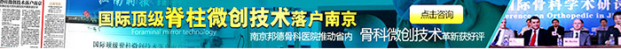 德国JOIMAX椎间孔镜技术